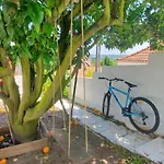 Casa Da Laranjeira Pet Friendly Vakantiehuis