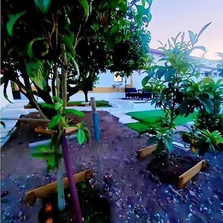 Casa Da Laranjeira, Perto De Obidos, Budha Eden, Dinossauros Parque * Vale Covo (Leiria)