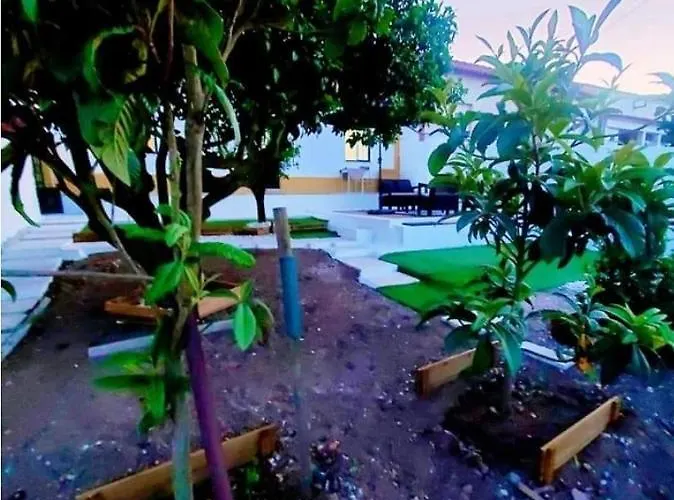 Casa Da Laranjeira, Perto De Obidos, Budha Eden, Dinossauros Parque * Vale Covo (Leiria)