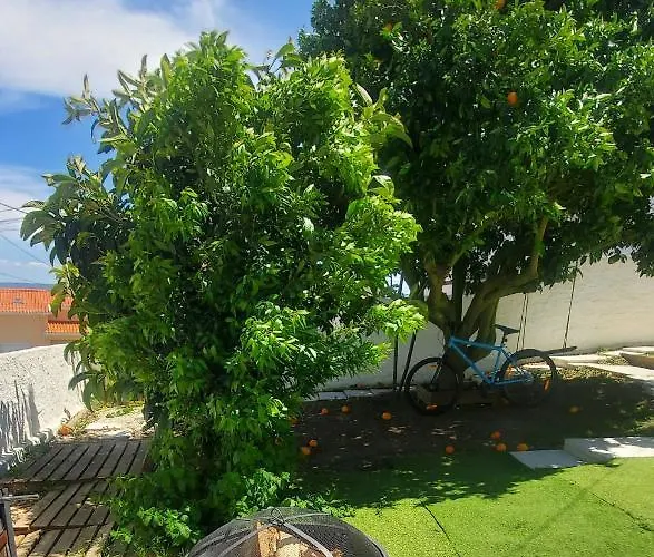 Casa Da Laranjeira, Perto De Obidos, Budha Eden, Dinossauros Parque Hébergement de vacances